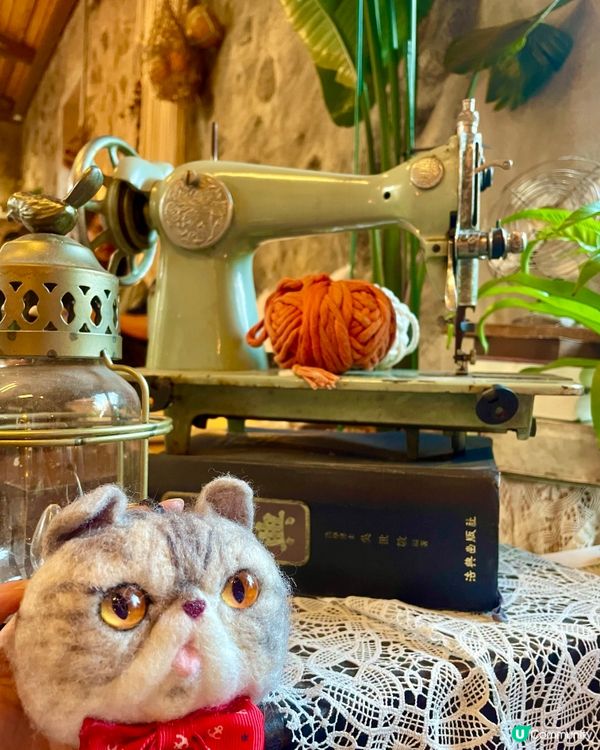 🇰🇷濟洲網紅打卡cafe🍊(多圖)