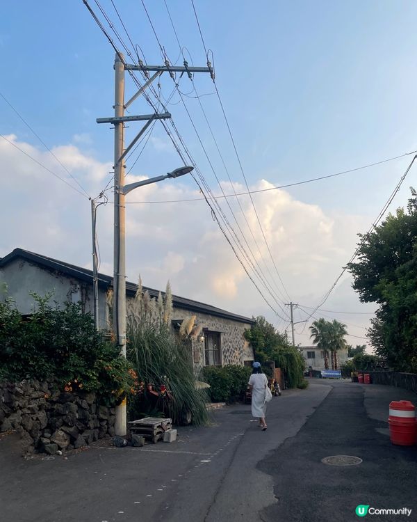 🇰🇷濟洲網紅打卡cafe🍊(多圖)