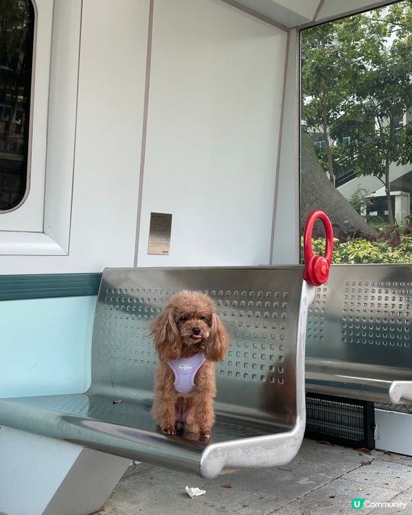 林村河站打卡😝