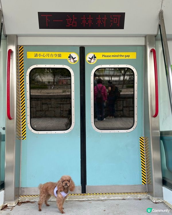 林村河站打卡😝