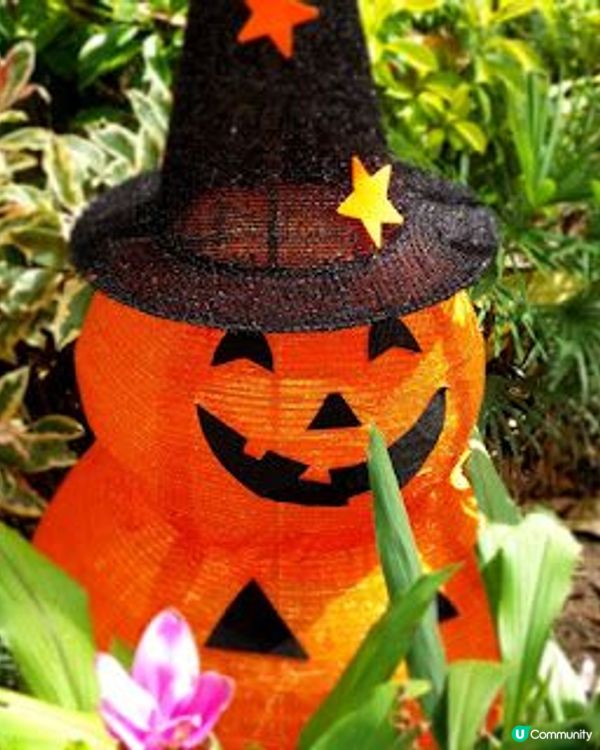 萬聖節@大埔海濱公園