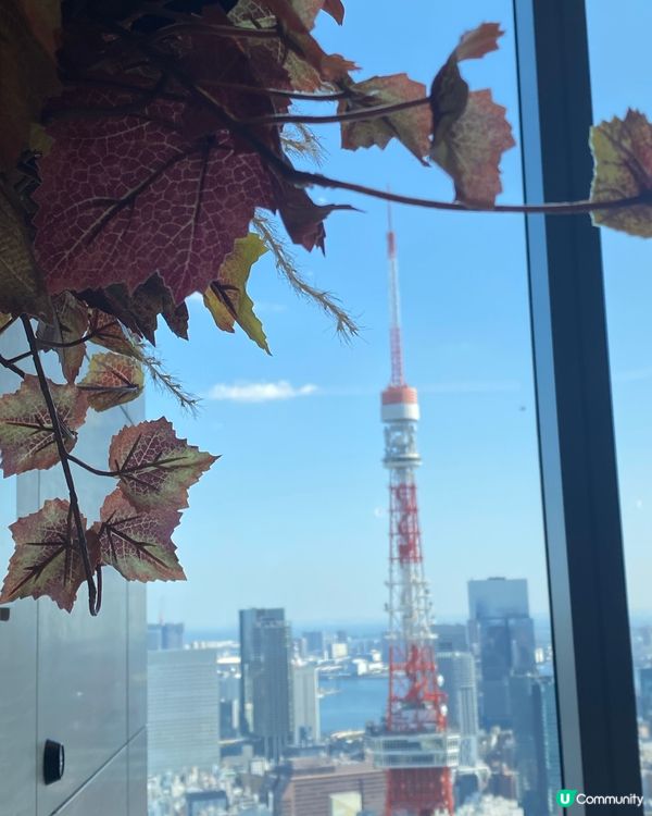 《🎌百看不厭🎌》拍出東京鐵塔🗼絕美照片📽️📸