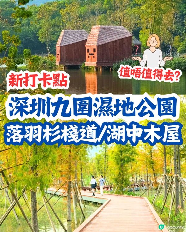 新打卡點📸深圳九圍濕地公園🌲落羽杉棧道/湖中木屋🏠親身試玩‼️值唔值得去？
