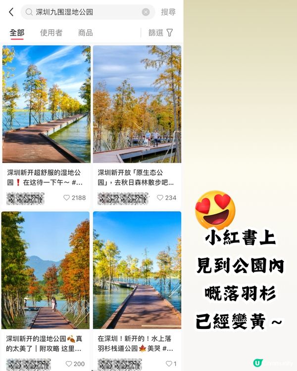 新打卡點📸深圳九圍濕地公園🌲落羽杉棧道/湖中木屋🏠親身試玩‼️值唔值得去？