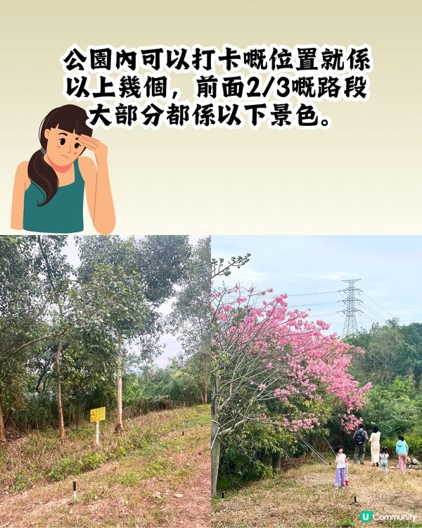 新打卡點📸深圳九圍濕地公園🌲落羽杉棧道/湖中木屋🏠親身試玩‼️值唔值得去？