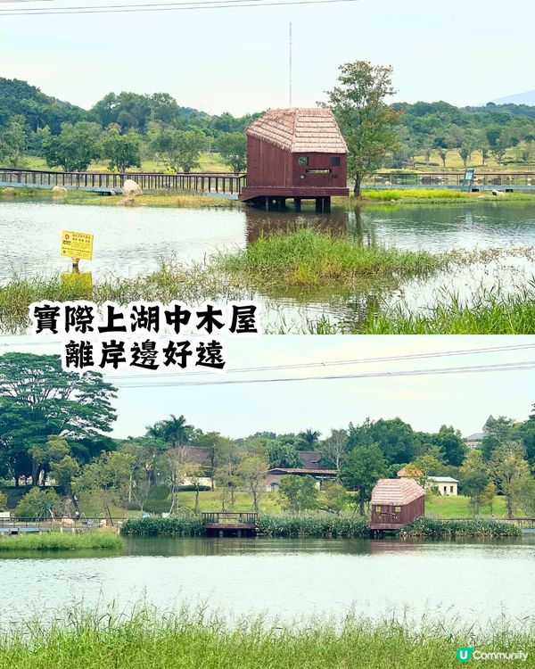 新打卡點📸深圳九圍濕地公園🌲落羽杉棧道/湖中木屋🏠親身試玩‼️值唔值得去？