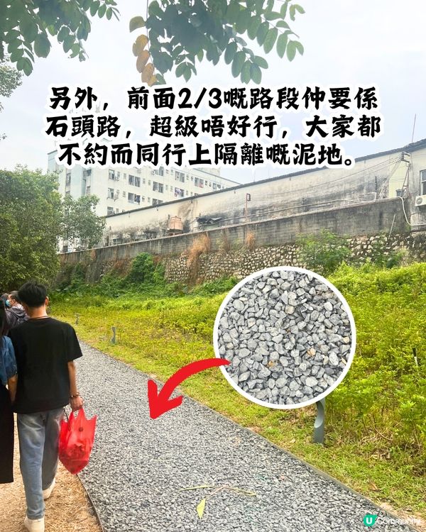 新打卡點📸深圳九圍濕地公園🌲落羽杉棧道/湖中木屋🏠親身試玩‼️值唔值得去？