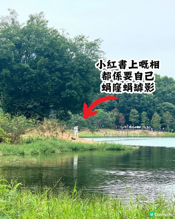 新打卡點📸深圳九圍濕地公園🌲落羽杉棧道/湖中木屋🏠親身試玩‼️值唔值得去？