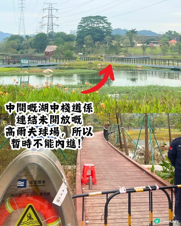 新打卡點📸深圳九圍濕地公園🌲落羽杉棧道/湖中木屋🏠親身試玩‼️值唔值得去？