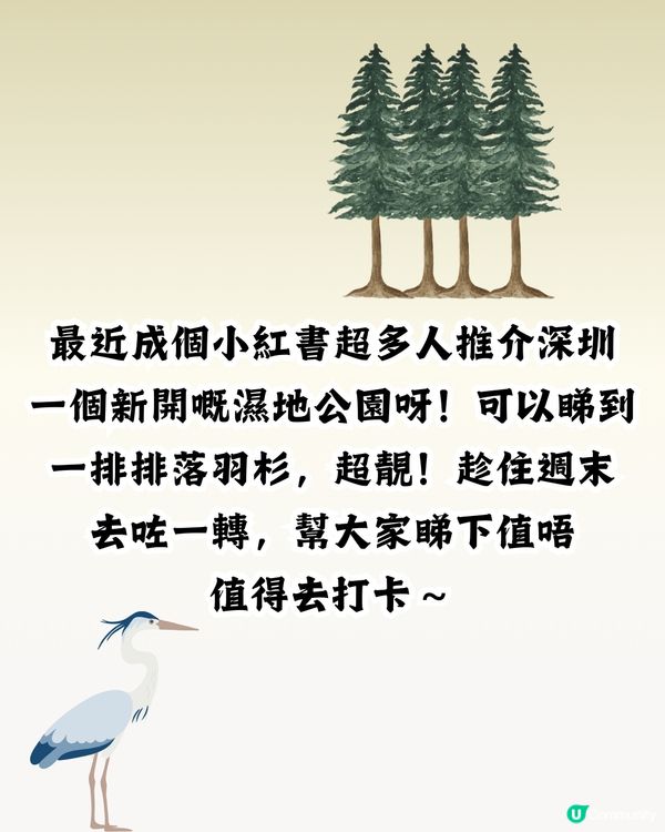 新打卡點📸深圳九圍濕地公園🌲落羽杉棧道/湖中木屋🏠親身試玩‼️值唔值得去？