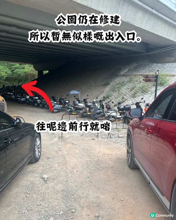 新打卡點📸深圳九圍濕地公園🌲落羽杉棧道/湖中木屋🏠親身試玩‼️值唔值得去？