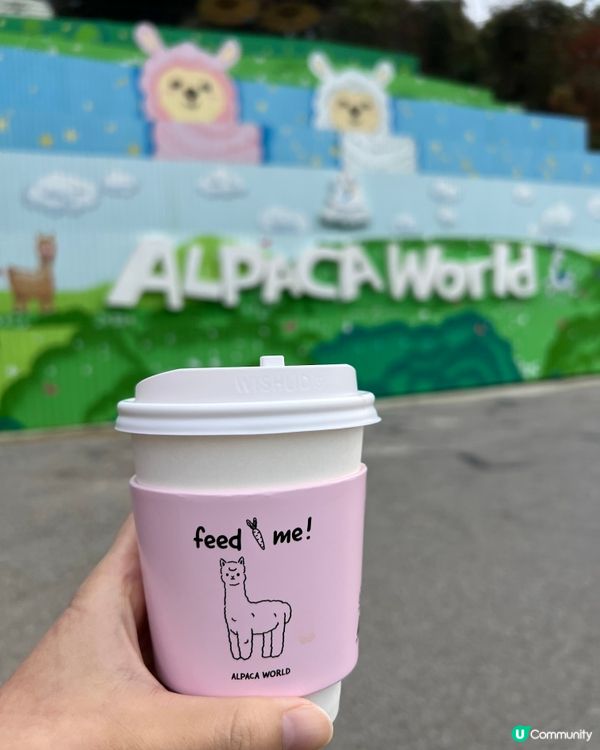 韓國AlpacaWorld70-80隻羊駝🦙