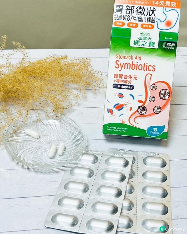 都市人生活繁忙 加拿大楓之寶益生菌 有助紓緩胃部不適症狀