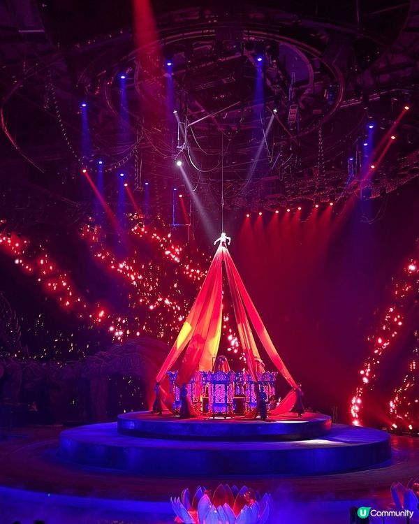 長隆秀表演🎭（珠海長隆海洋王國）