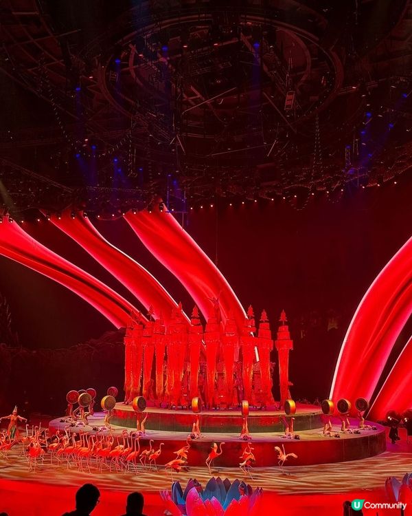 長隆秀表演🎭（珠海長隆海洋王國）