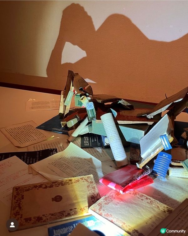 影子藝術展📸將小時候的影子遊戲昇華到另一層次✨