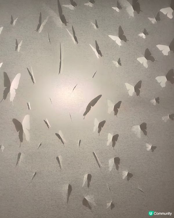 影子藝術展📸將小時候的影子遊戲昇華到另一層次✨