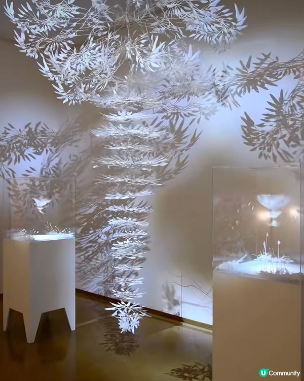 影子藝術展📸將小時候的影子遊戲昇華到另一層次✨