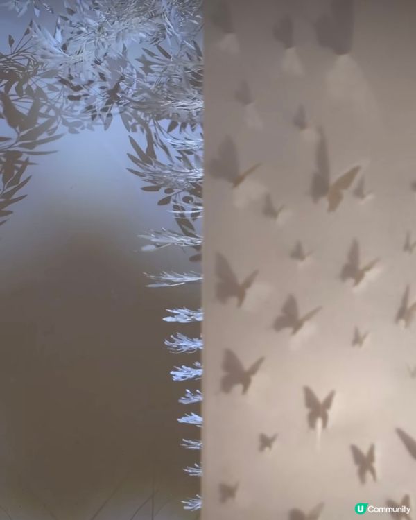 影子藝術展📸將小時候的影子遊戲昇華到另一層次✨