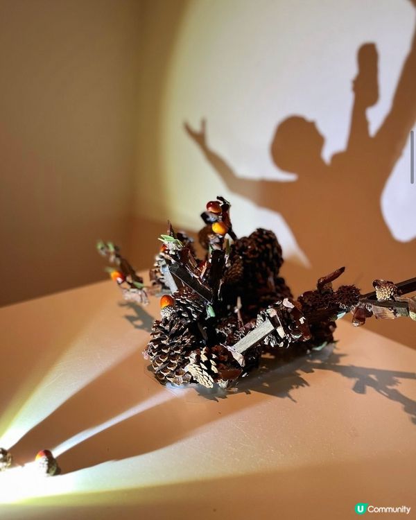 影子藝術展📸將小時候的影子遊戲昇華到另一層次✨