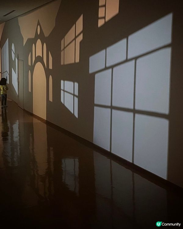 影子藝術展📸將小時候的影子遊戲昇華到另一層次✨