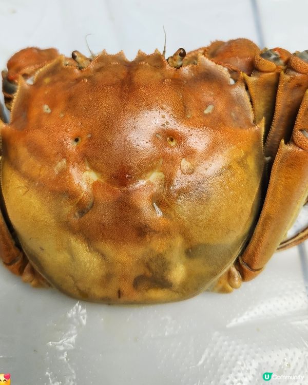 又係食大閘蟹的日子