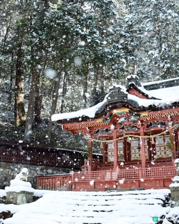 飛驒高山必去！日枝神社⛩️
