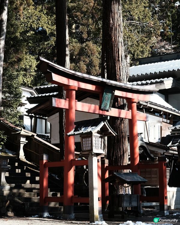 飛驒高山必去！日枝神社⛩️