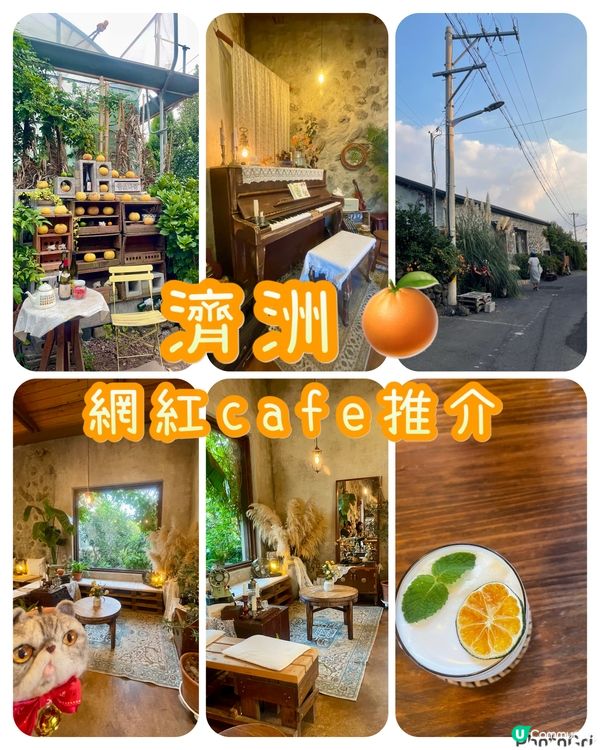 🇰🇷濟洲網紅打卡cafe🍊(多圖)