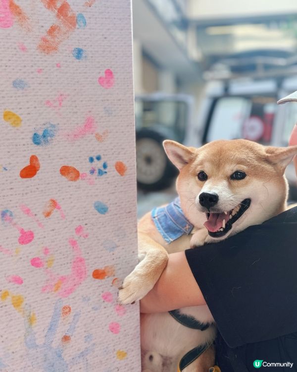 無國界醫生30年❤️  救援故事感動你！