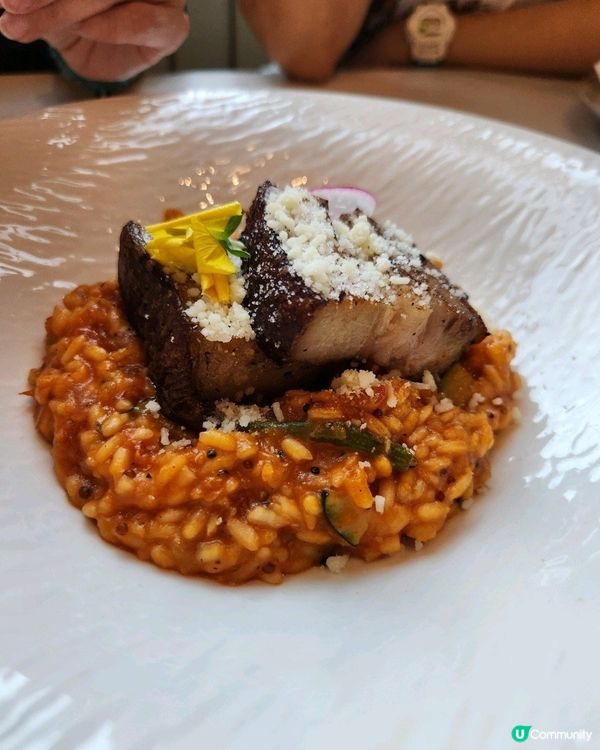 尖沙咀價錢親民的法式餐廳💛💚🩷