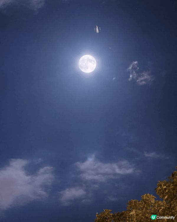 香MOON VS 日本MOON香MOON VS 日本MOON...