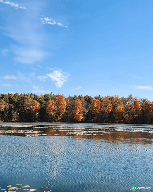多倫多Milne Dam Conservation Park...