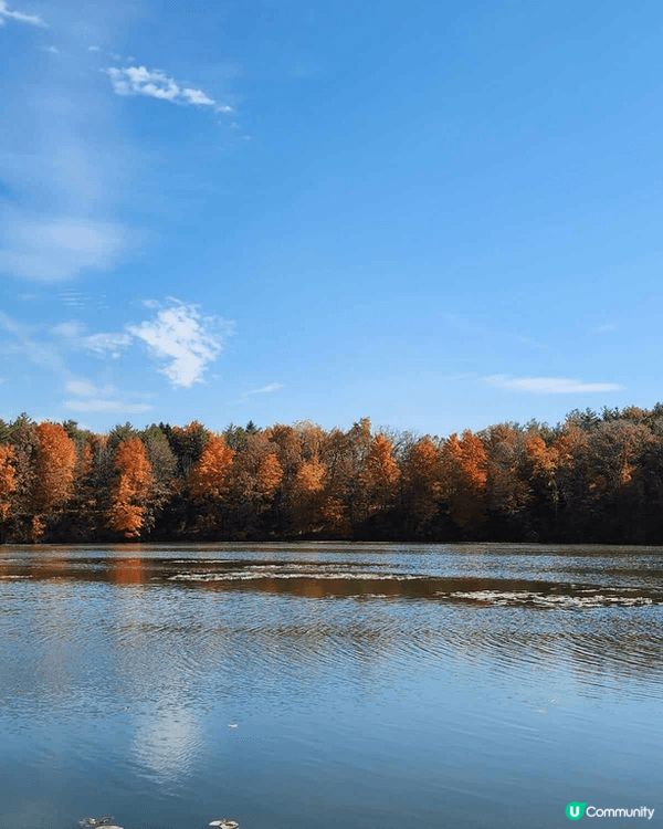 多倫多Milne Dam Conservation Park...