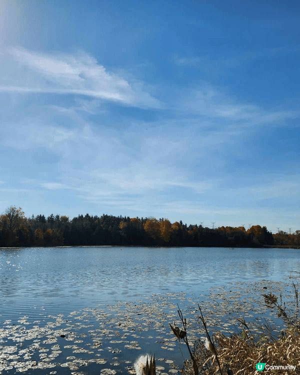 多倫多Milne Dam Conservation Park...