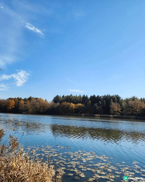 多倫多Milne Dam Conservation Park...