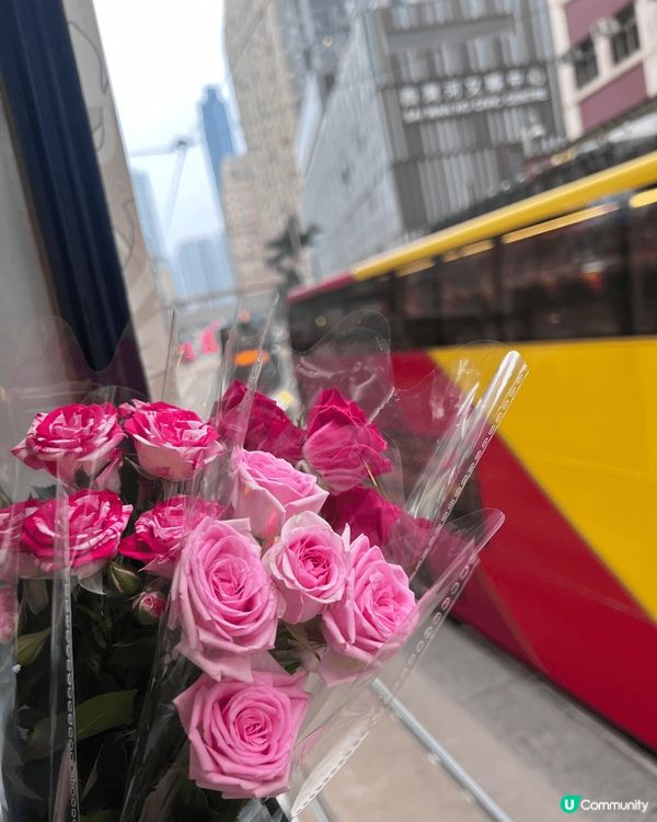 北角打卡，乘搭叮叮去北角，沿途好多香港特色，去到北角一定會幫...