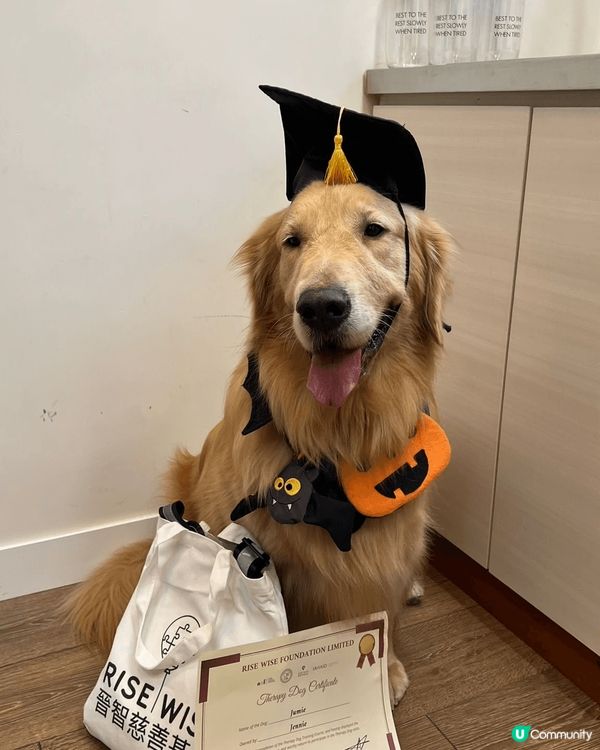 愛犬Jumie 帥哥登場