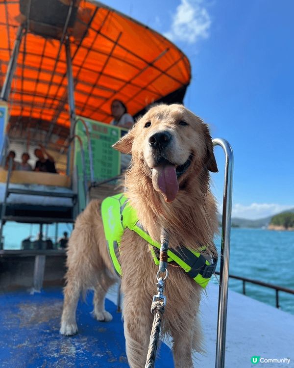 愛犬Jumie 帥哥登場