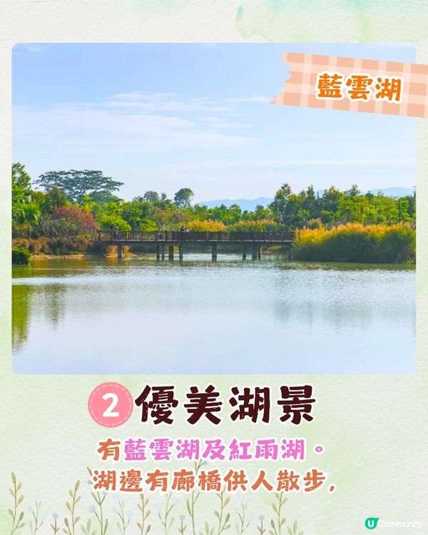 深圳福田區療癒系公園打卡攻略🌲秋天蘆葦海/絕美湖景/打卡驛站!✨