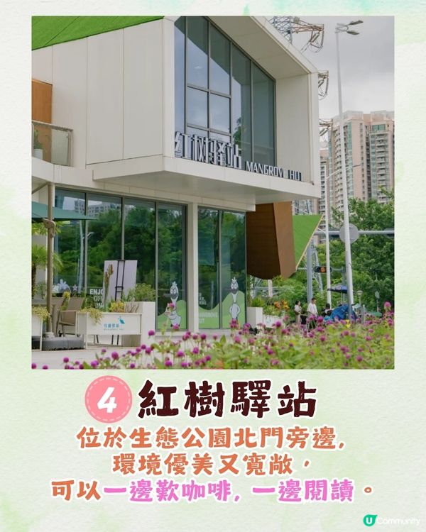 深圳福田區療癒系公園打卡攻略🌲秋天蘆葦海/絕美湖景/打卡驛站!✨