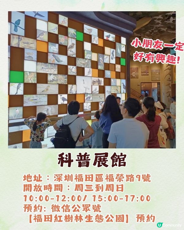 深圳福田區療癒系公園打卡攻略🌲秋天蘆葦海/絕美湖景/打卡驛站!✨