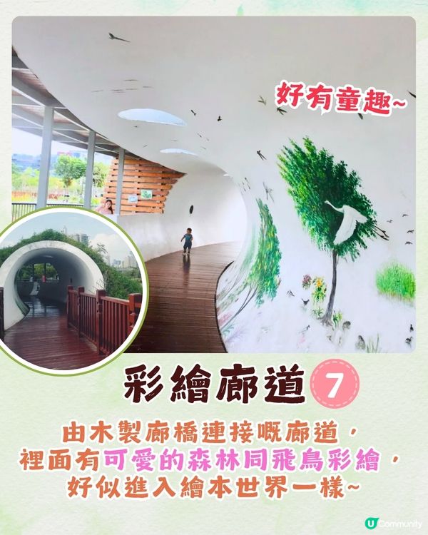 深圳福田區療癒系公園打卡攻略🌲秋天蘆葦海/絕美湖景/打卡驛站!✨