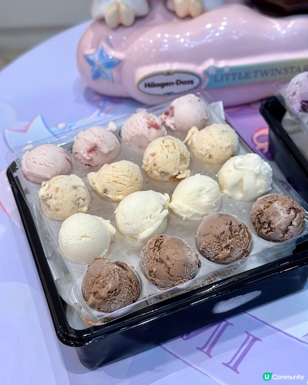 Häagen-Dazs™️ x Sanrio角色造型雪糕火鍋