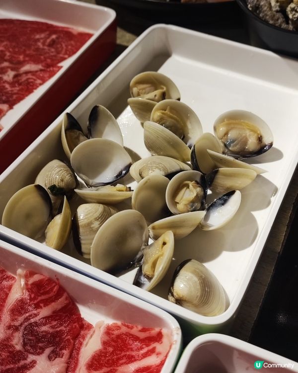 旺角馬辣打邊爐🔥 食到停唔到🤤