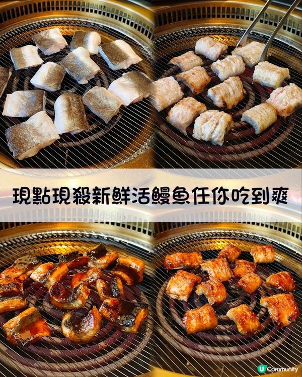 《車公廟蒲匠新品來咯》