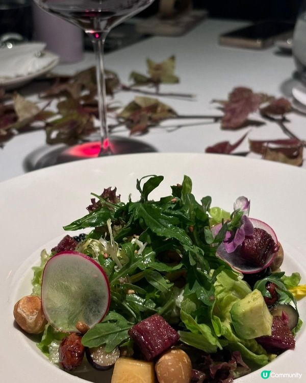 深圳必食牛扒🍷  
深圳灣邊優雅餐廳，牛排紅酒品鑒會！🤤