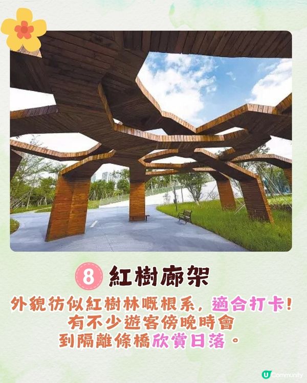 深圳福田區療癒系公園打卡攻略🌲秋天蘆葦海/絕美湖景/打卡驛站!✨