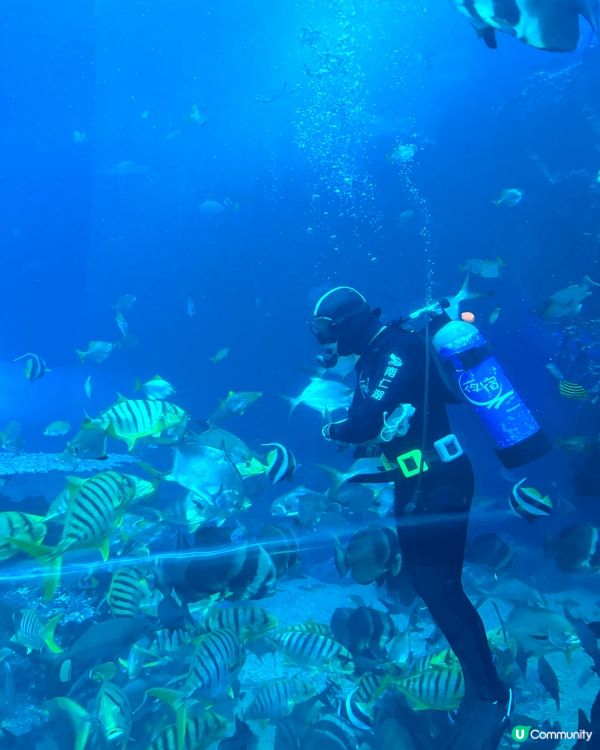 這是台灣墾丁的海生館。喜歡原因是海生館定時有不同的體驗活動時...