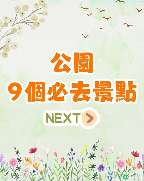 深圳福田區療癒系公園打卡攻略🌲秋天蘆葦海/絕美湖景/打卡驛站!✨